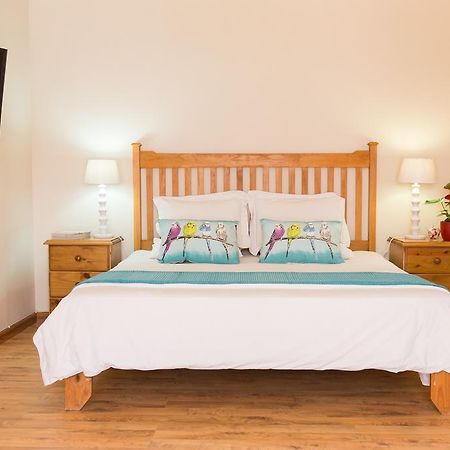 סטלנבוש Coronata 20 B&B מראה חיצוני תמונה